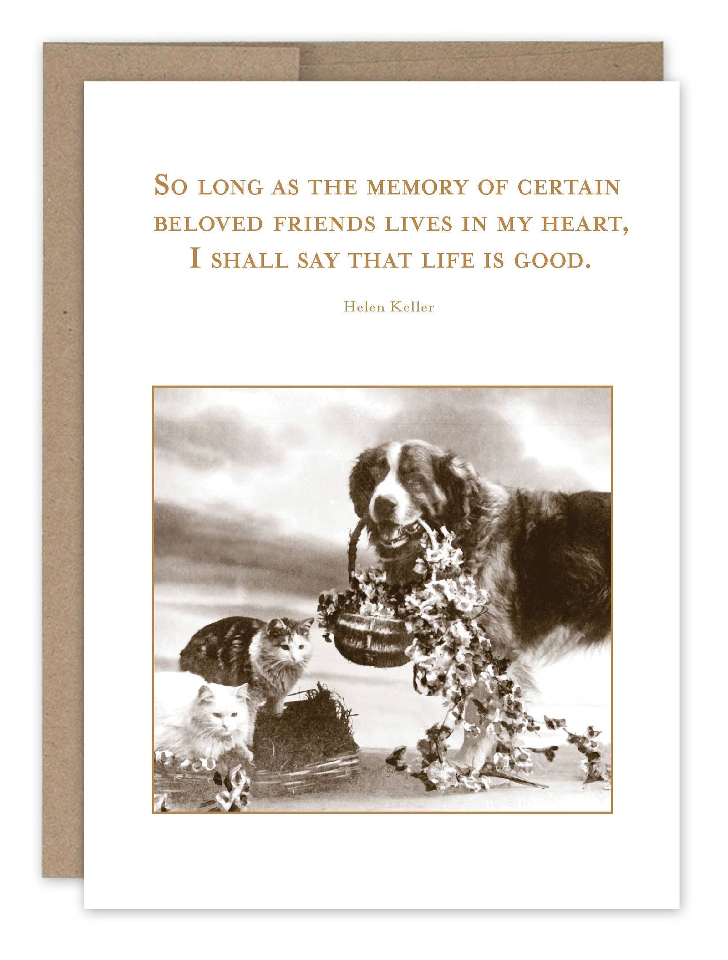 Shannon Martin Design - Life Is Good Pet Sympathy Card