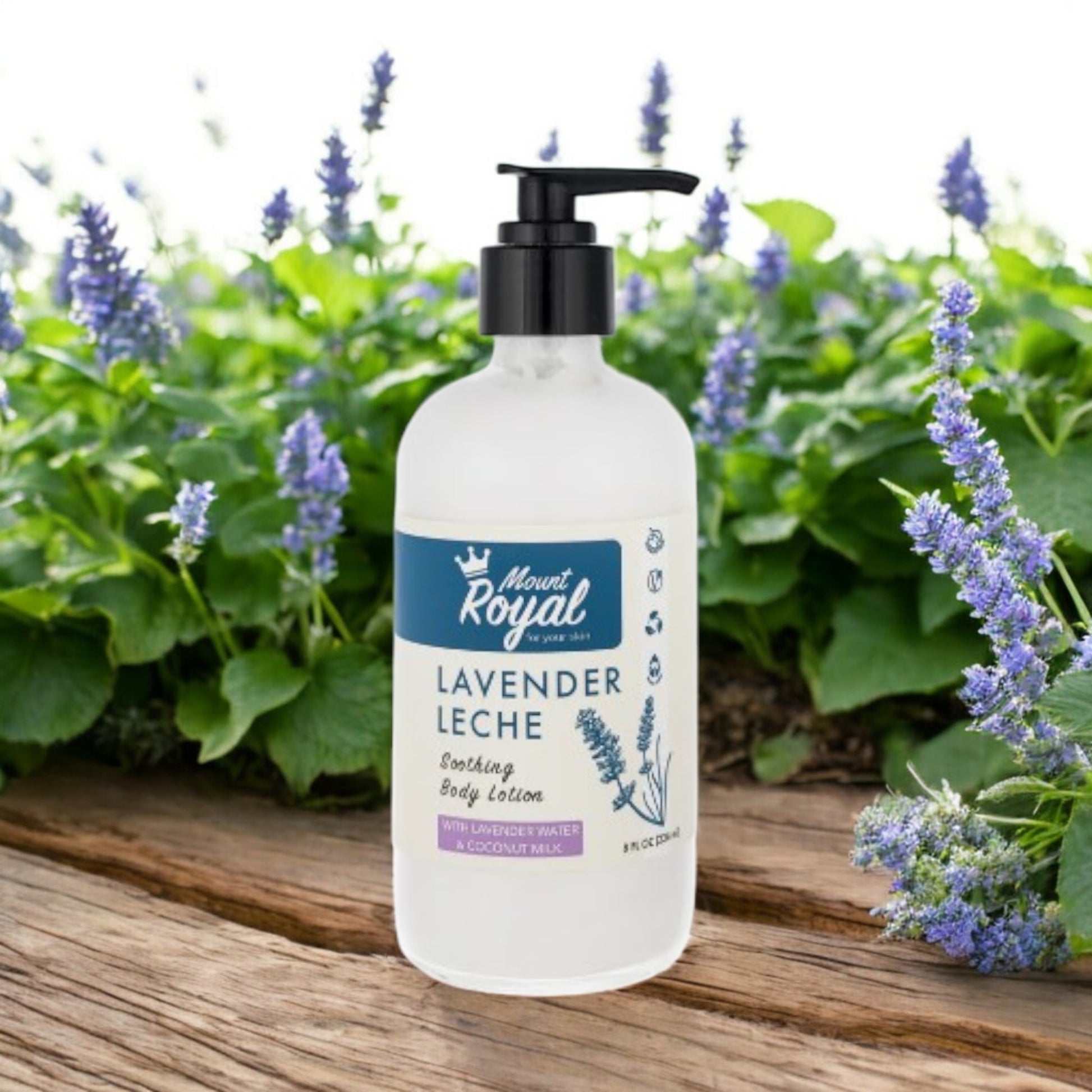 Mount Royal Soaps - Lavender Leche Body Lotion in an eco-friendly bottle with lavender sprigs and coconut accents, ideal for hydration and relaxation.