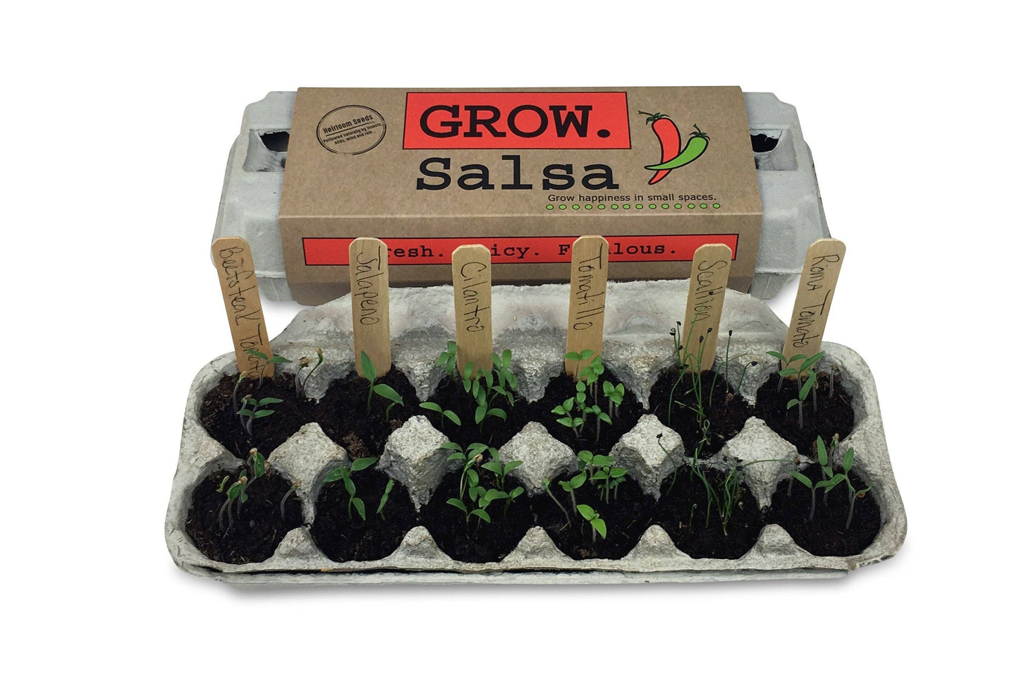 Backyard Safari Company - Salsa Garden Grow Kit