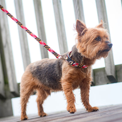 Maryland Flag Dog Leash 5ft.