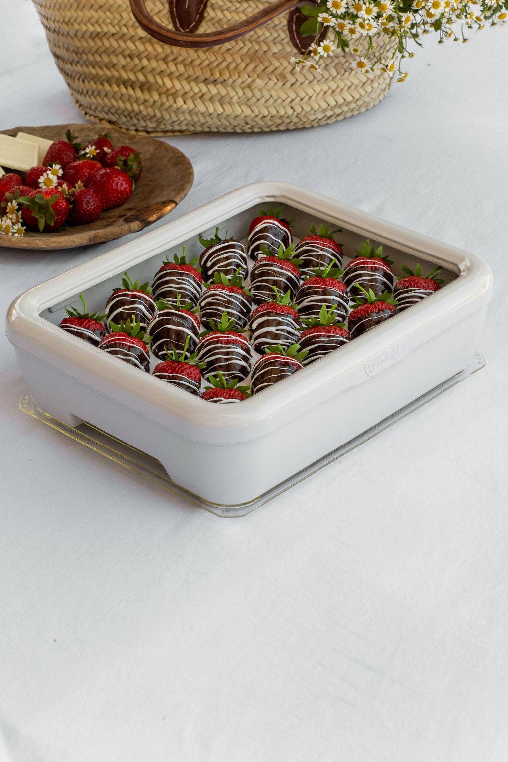 Fancy Panz - Fancy Panz® Accessory - Deviled Egg Tray Insert